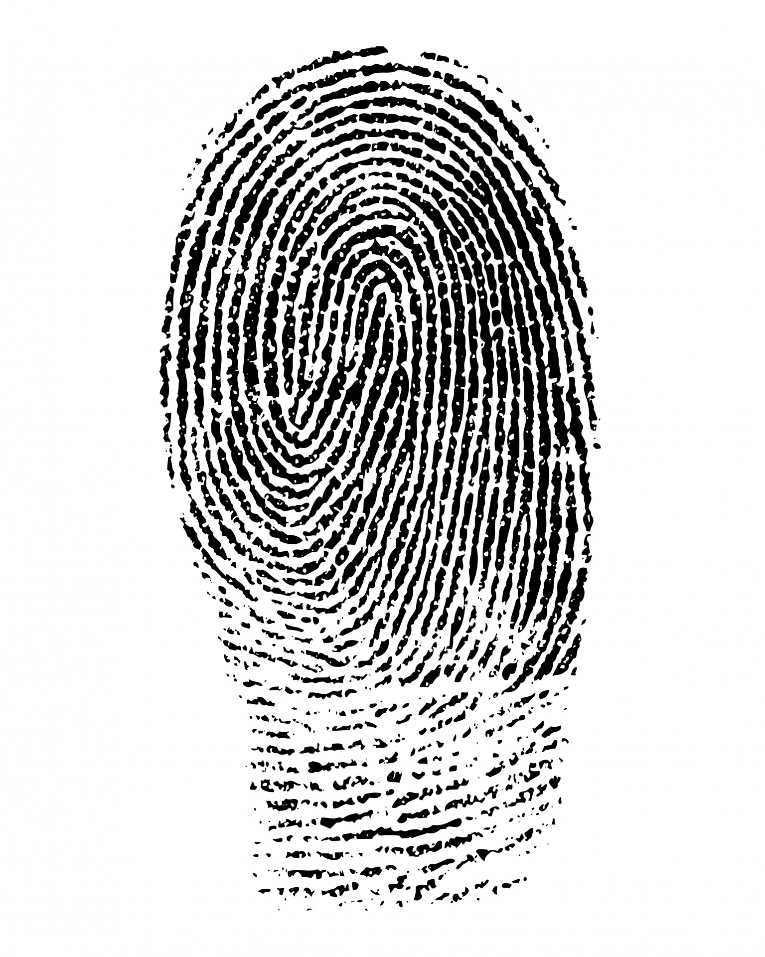 simple fingerprint clipart